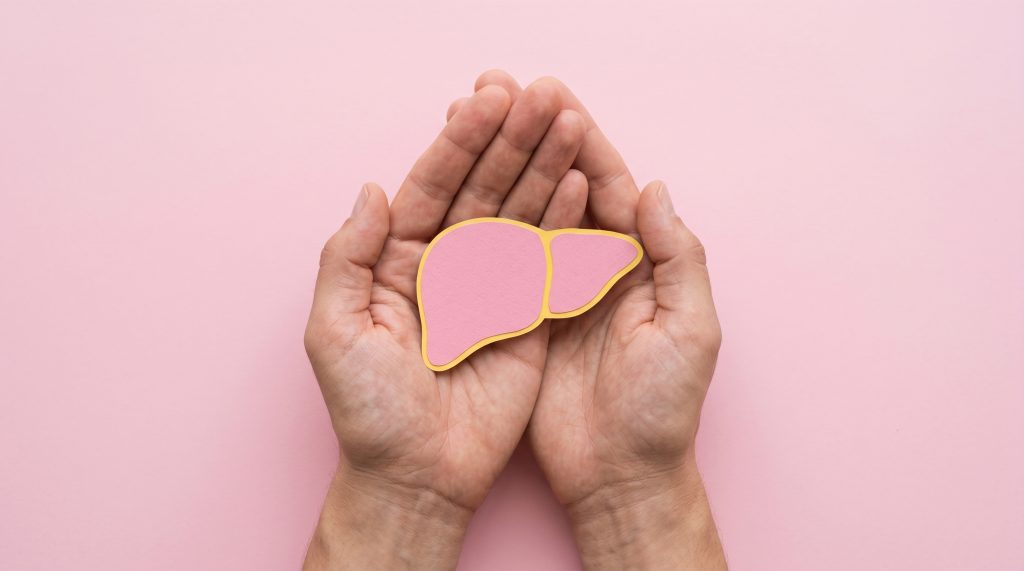 Mãos protegendo a ilustração de um fígado, representando a prevenção, os cuidados e a conscientização sobre as hepatites virais.
